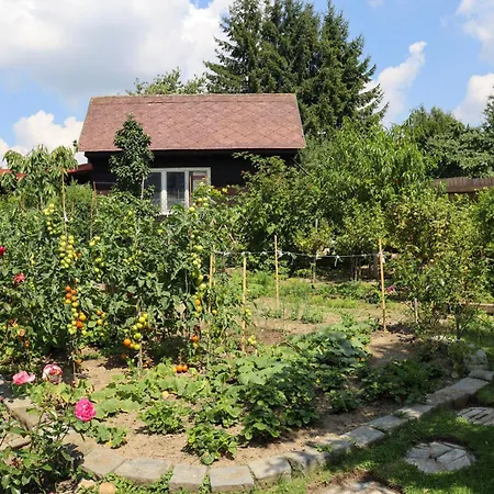 Eva Homestay